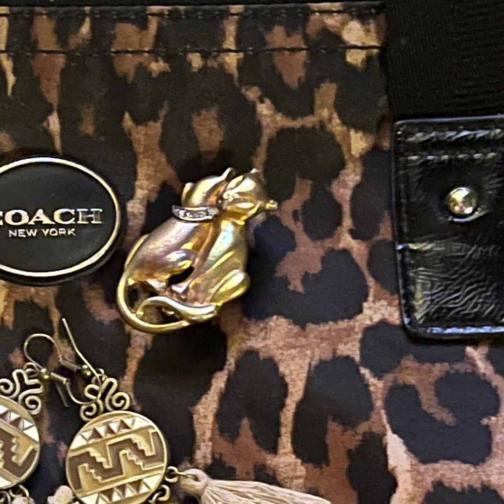Coach Gold and Tan Brooch Set - Picture 6 of 6